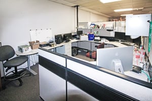 21568404