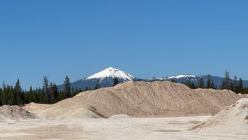 21568593