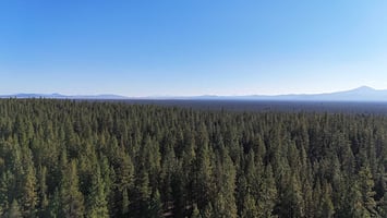 21568610