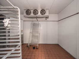 21807044