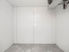 21807313