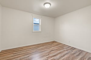 21827494