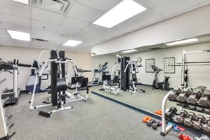 21775790
