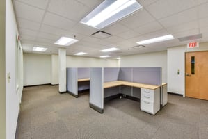 21775824