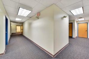 21775811