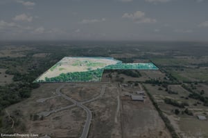 31547061
