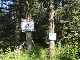 21588826
