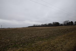 21594941