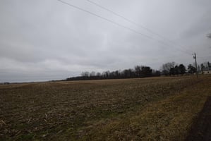 21594940