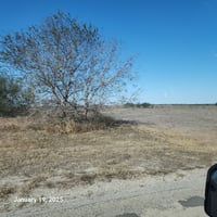 21595565