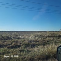 21595561