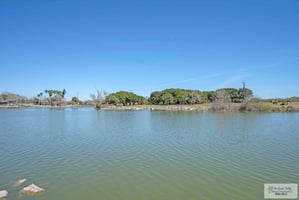 21606778