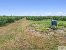 21625077