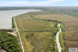 21628219