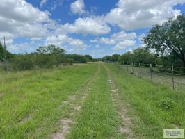 21629522