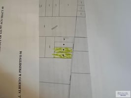 21629789