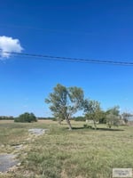 21630990