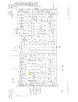 21631905