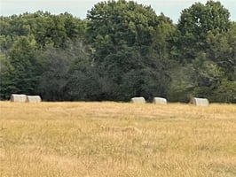 21635359