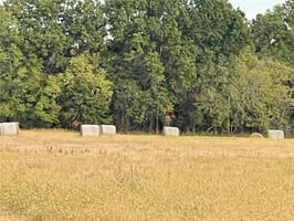 21635360