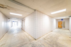 21813517