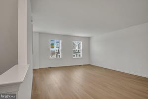 21786163