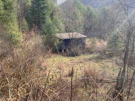 21646964