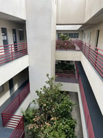 21660082