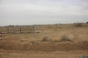 21665400