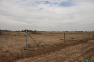 21665401
