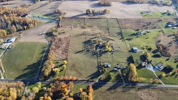 21667564