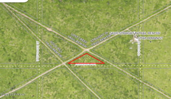 21675731
