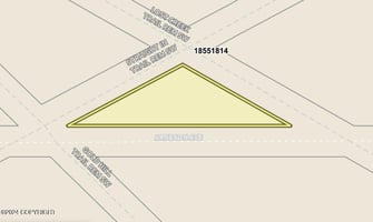 21675729