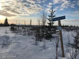 21675736