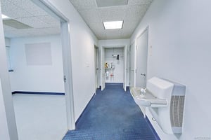 27811252