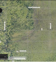 21677005