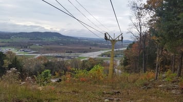 21677767