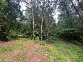 21705671