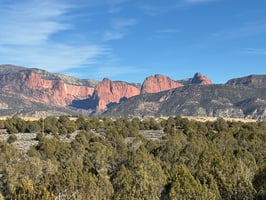 21689698