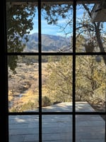 21689699