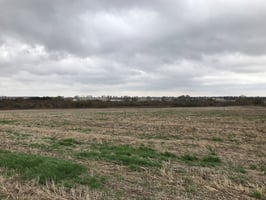 21706788