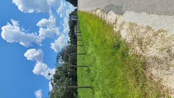 21751258