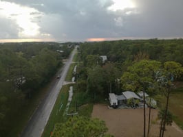 21751324