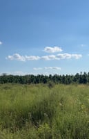 21751612