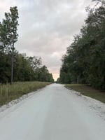 21751764