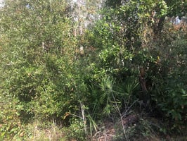 21753712