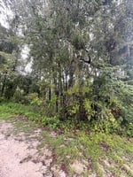 21754547