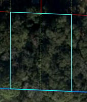 21754705