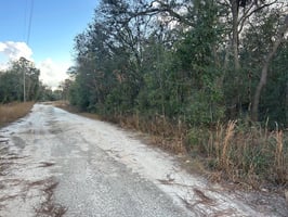 21756325
