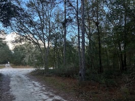21756324